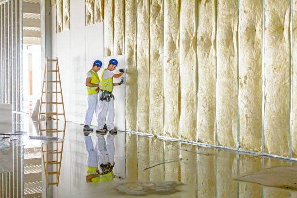 Best Insulation Maintenance and Repair in Burgaw, NC